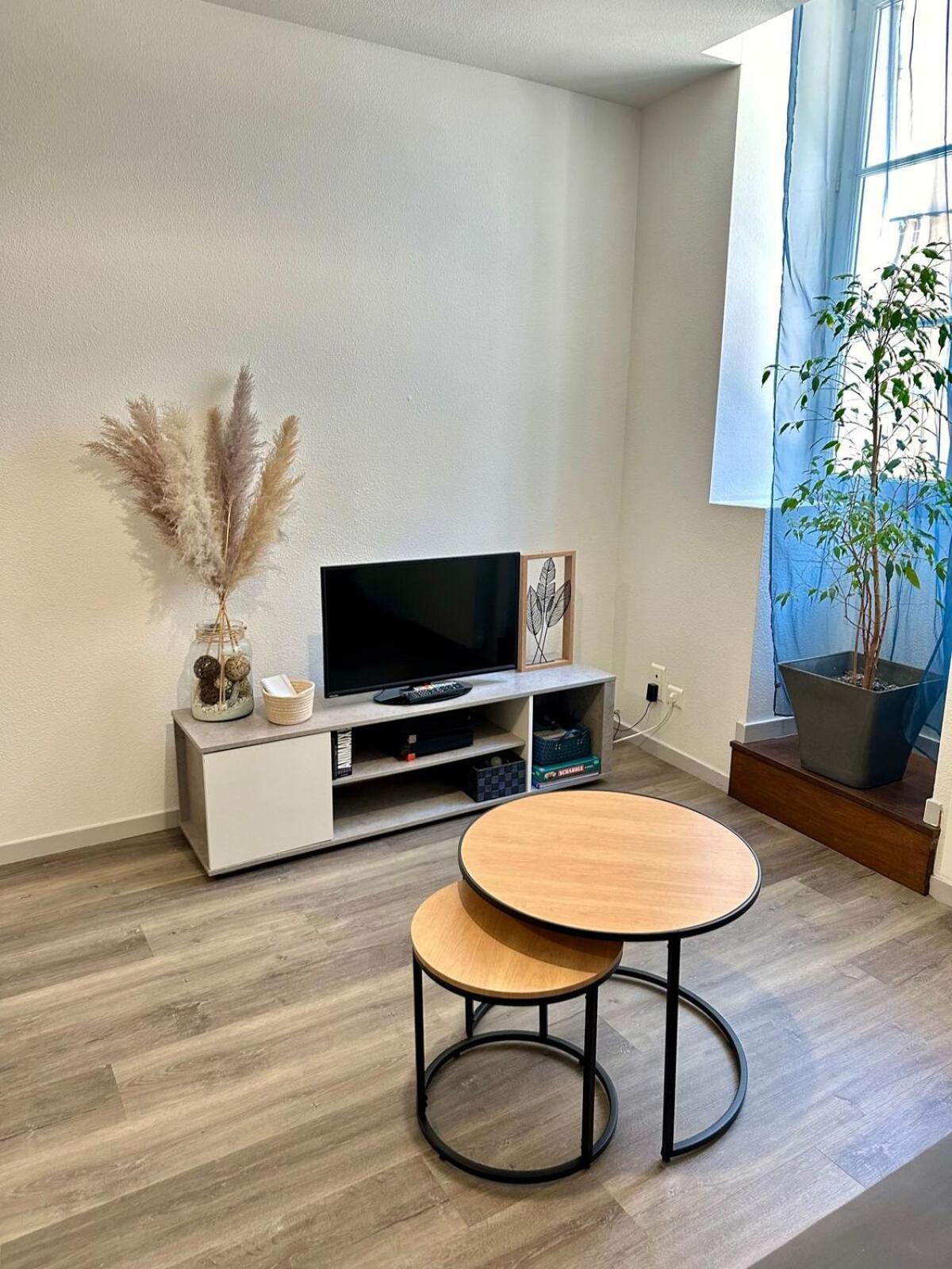 Appartement Calme Au Coeur De La Ville Лон-льо-Соние Екстериор снимка
